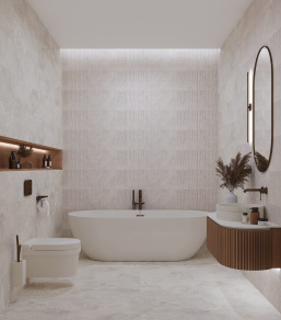 Porcelanite Dos