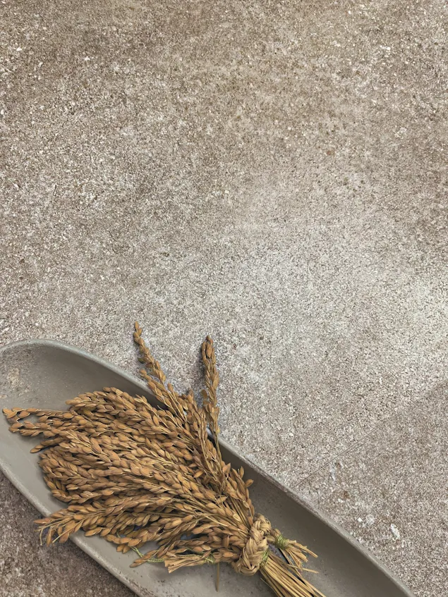 PLAZA TAUPE 60X60.jpg