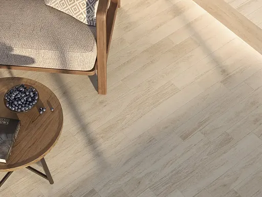 Монпелье_1