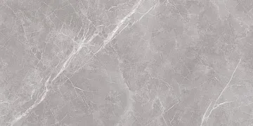 Armani Grey Pol. 60x120 плитка