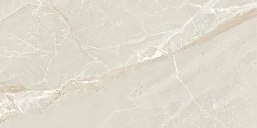 Colemanite Stone Light Rect. 60x120 плитка
