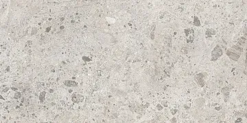 Ambrossia Greige 60x120 плитка