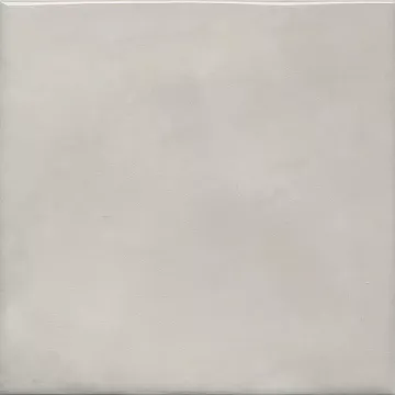Адриатика серый глянцевый 20x20 плитка