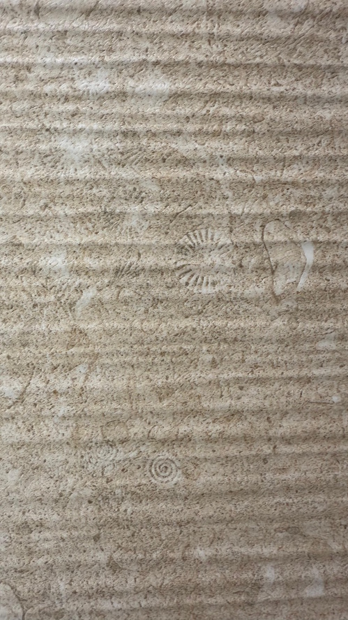 Sonora детали.jpg