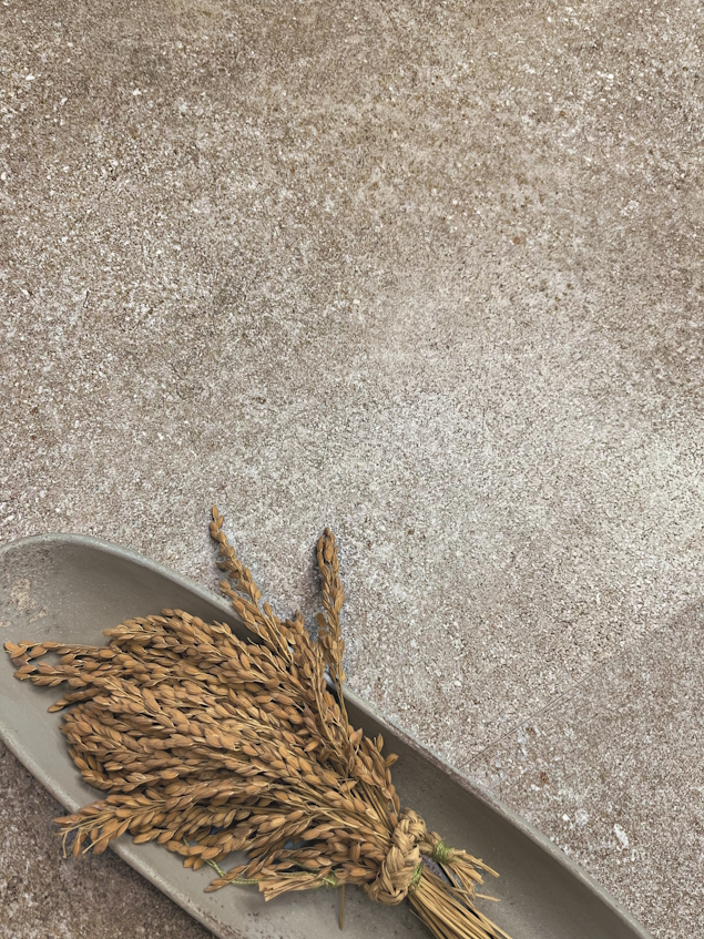 PLAZA TAUPE 60X60.jpg