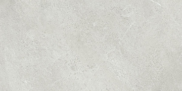 Eiras Grey Mate Rect. 59.5x120 плитка
