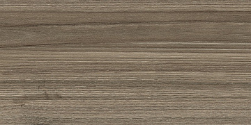 Essense Brown 24.9x50 плитка