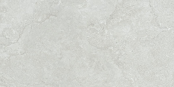 Portland Grey Mate Rect. 59.5x120 плитка