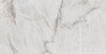 AC White Gold 215 Polished Diamond 60x120 плитка