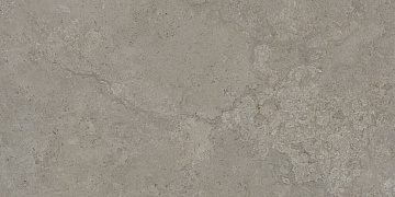 Dorset Greige MT Rect. 60x120 плитка